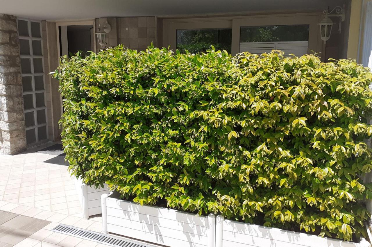 Minzoni94 - Twobedroom+Garden Λίντο ντι Καμαϊόρε Εξωτερικό φωτογραφία